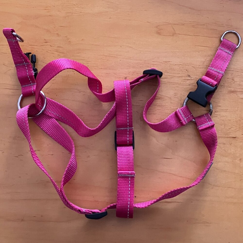 RC Pets Primary Step In Harness Pink Size Large for dogs 22" - 34" inch girth